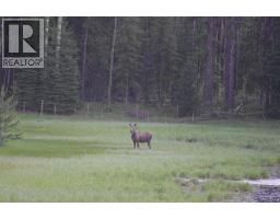 2120 Fish Lake Road, Rock Creek, BC V0H1Y0 Photo 72
