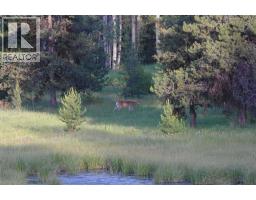 2120 Fish Lake Road, Rock Creek, BC V0H1Y0 Photo 76