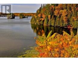 376 Faradale Court, Faraday, ON K0L1C0 Photo 19
