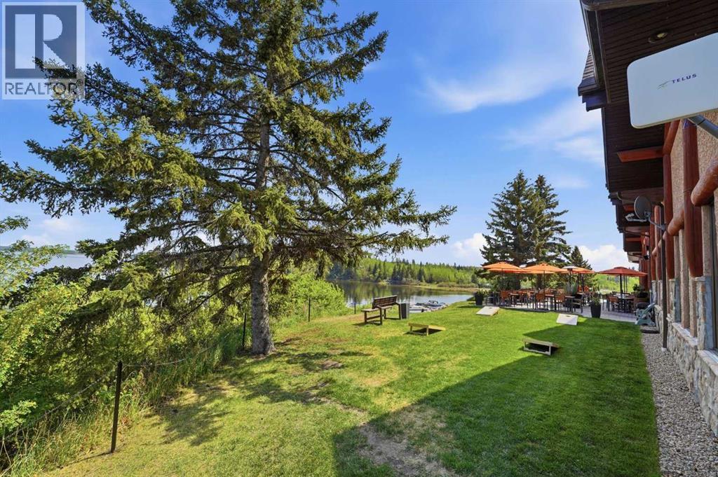 25054 South Pine Lake Road - Photo 37