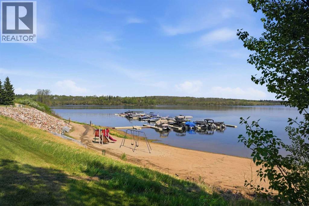 25054 South Pine Lake Road - Photo 28