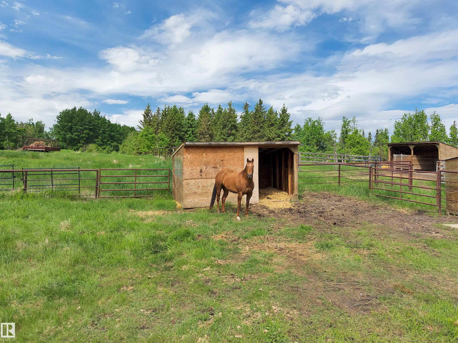 22363 WYE RD - 50