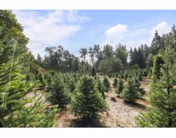 22441 79 Avenue, Langley, BC V1M2P9 Photo 12