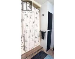 417 3rd Street, Estevan, SK S4A0P1 Photo 19