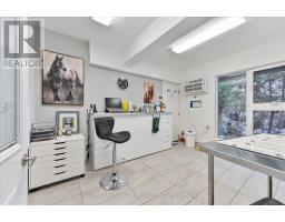 400 Summerhill Avenue, Toronto, ON M4W2E4 Photo 15