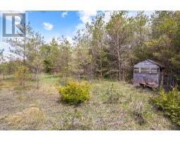 353814 Osprey Artemesia Townline, Grey Highlands, ON N0C1J0 Photo 16