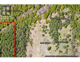 353814 Osprey Artemesia Townline, Grey Highlands, ON N0C1J0 Photo 12