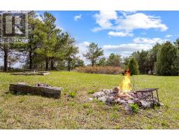 353814 Osprey Artemesia Townline, Grey Highlands, ON N0C1J0 Photo 14