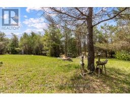 353814 Osprey Artemesia Townline, Grey Highlands, ON N0C1J0 Photo 13