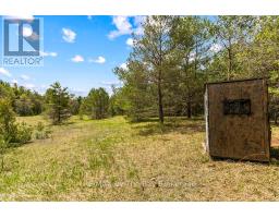 353814 Osprey Artemesia Townline, Grey Highlands, ON N0C1J0 Photo 22