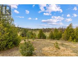 353814 Osprey Artemesia Townline, Grey Highlands, ON N0C1J0 Photo 29