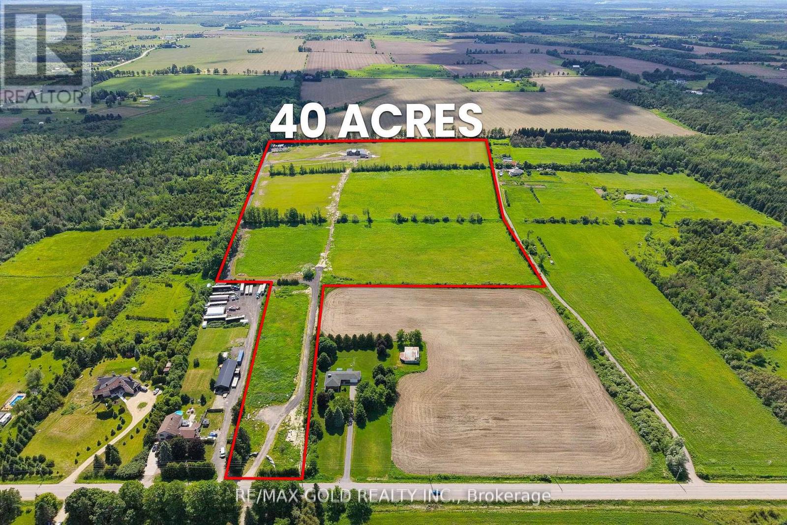 554068 MONO AMARANTH TOWNLINE - 5