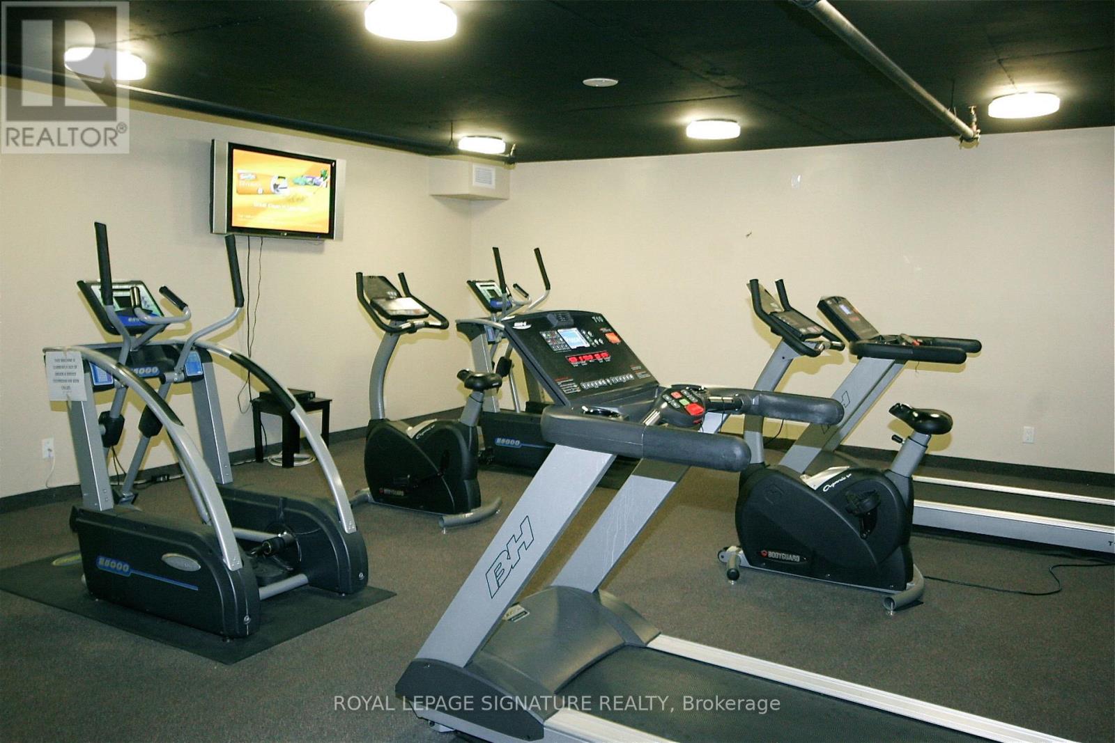 #3M 8 ROSEBANK DRIVE - Image 24