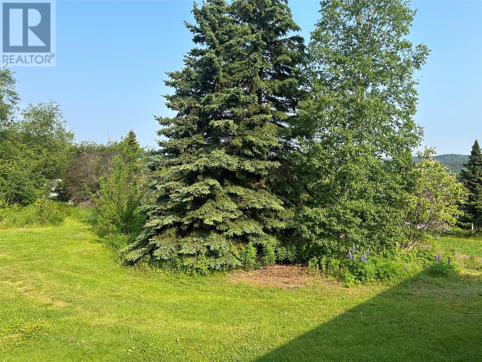 29 Emerald Avenue - 7