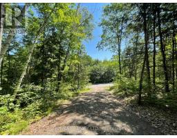 692 Mitchell Road, Madawaska Valley, ON K0J1B0 Photo 7