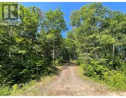 692 Mitchell Road, Madawaska Valley, ON K0J1B0 Photo 8