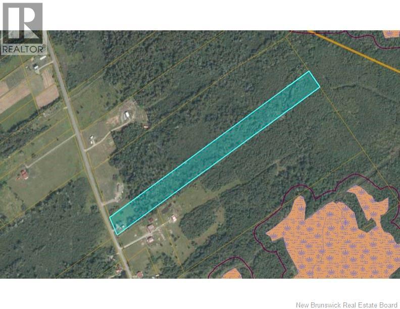 396 Collins Lake Road - 2