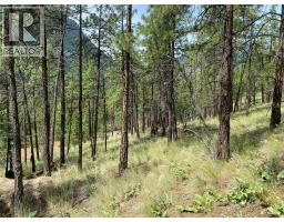 101 Airport Road, Lillooet, BC V0K1V0 Photo 11