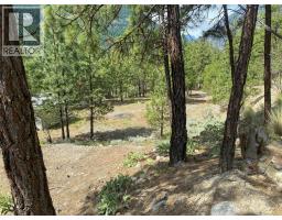 101 Airport Road, Lillooet, BC V0K1V0 Photo 18
