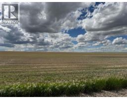 On 220 Range, Rural Lethbridge County, AB T1K7N3 Photo 11