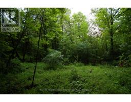 0 Fourth Line, Halton Hills, ON L7J2M1 Photo 14