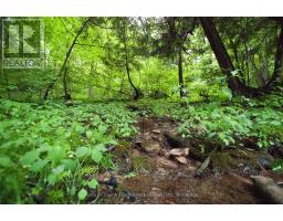 0 Fourth Line, Halton Hills, ON L7J2M1 Photo 15