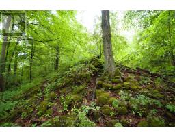0 Fourth Line, Halton Hills, ON L7J2M1 Photo 16