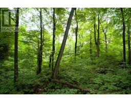 0 Fourth Line, Halton Hills, ON L7J2M1 Photo 17