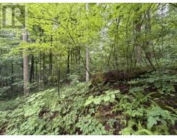 0 Fourth Line, Halton Hills, ON L7J2M1 Photo 19