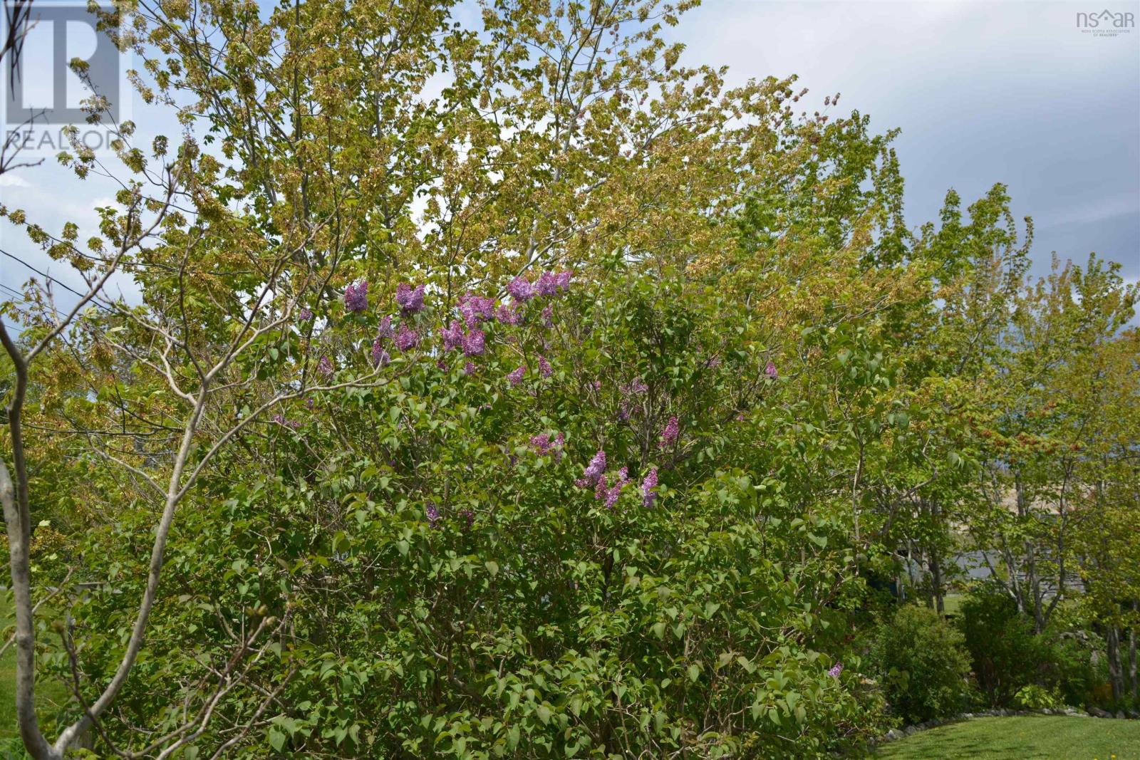 602 Herring Cove Road - 29