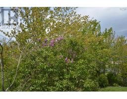 602 Herring Cove Road, Halifax, NS B3R1X6 Photo 29