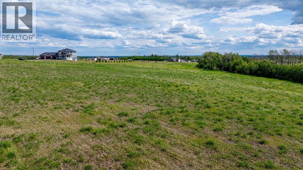 41 714010 Range Road 73 - Photo 11