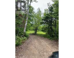 00 Rte 303, Village Des Poirier, NB E8N1P3 Photo 12