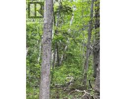 00 Rte 303, Village Des Poirier, NB E8N1P3 Photo 13