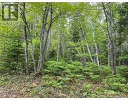 00 Rte 303, Village Des Poirier, NB E8N1P3 Photo 14