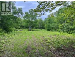 00 Rte 303, Village Des Poirier, NB E8N1P3 Photo 15