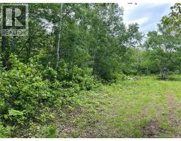 00 Rte 303, Village Des Poirier, NB E8N1P3 Photo 16