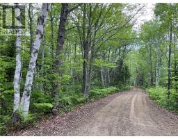 00 Rte 303, photo 4