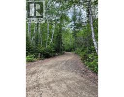 00 Rte 303, photo 5