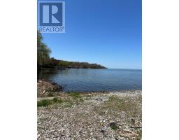 7657 Black River Road, Georgina, ON L0E1R0 Photo 21