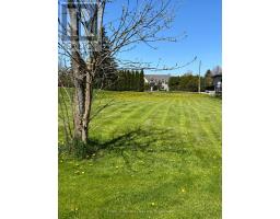7657 Black River Road, Georgina, ON L0E1R0 Photo 11