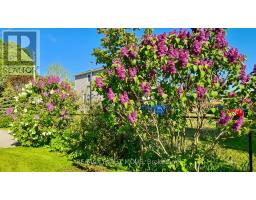 2344 12 Highway, Ramara, ON L0K1B0 Photo 21