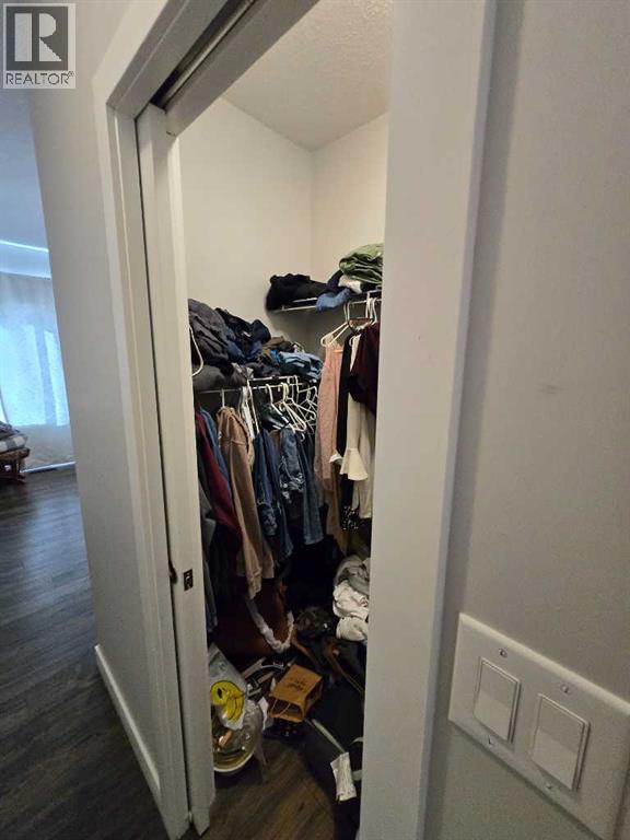 Primary Bedroom Walk-in Closet