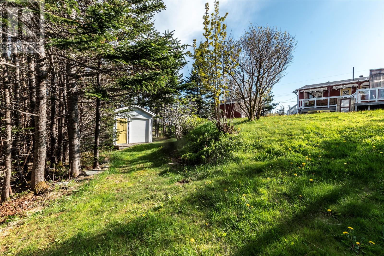 208 Vineland Road - 6