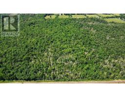 2667 Palmer Road, Tay Valley, ON K7H3C9 Photo 12