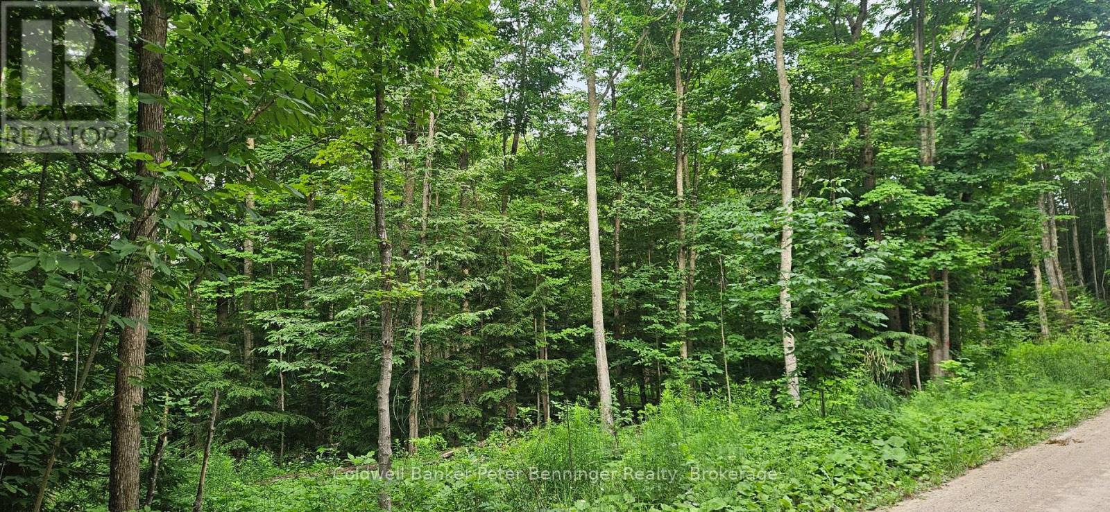 LOT 6 CONCESSION 12 NDR BENTINCK, West Grey — photo 3