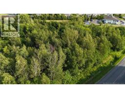 1.46 Acre Rue Luce, Tracadie, NB E1X1B5 Photo 7