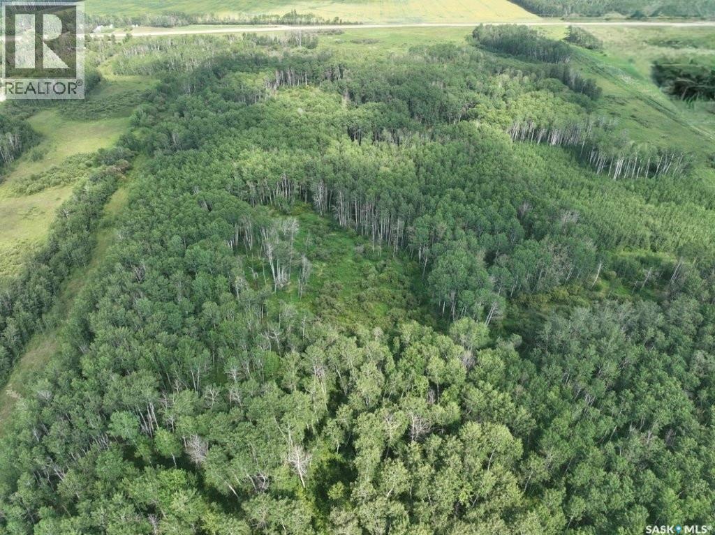 76 acre Hunters Retreat land — photo 21