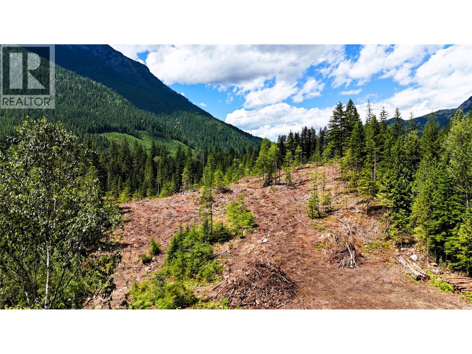 Trans Canada Highway Lot# 1-4, Revelstoke