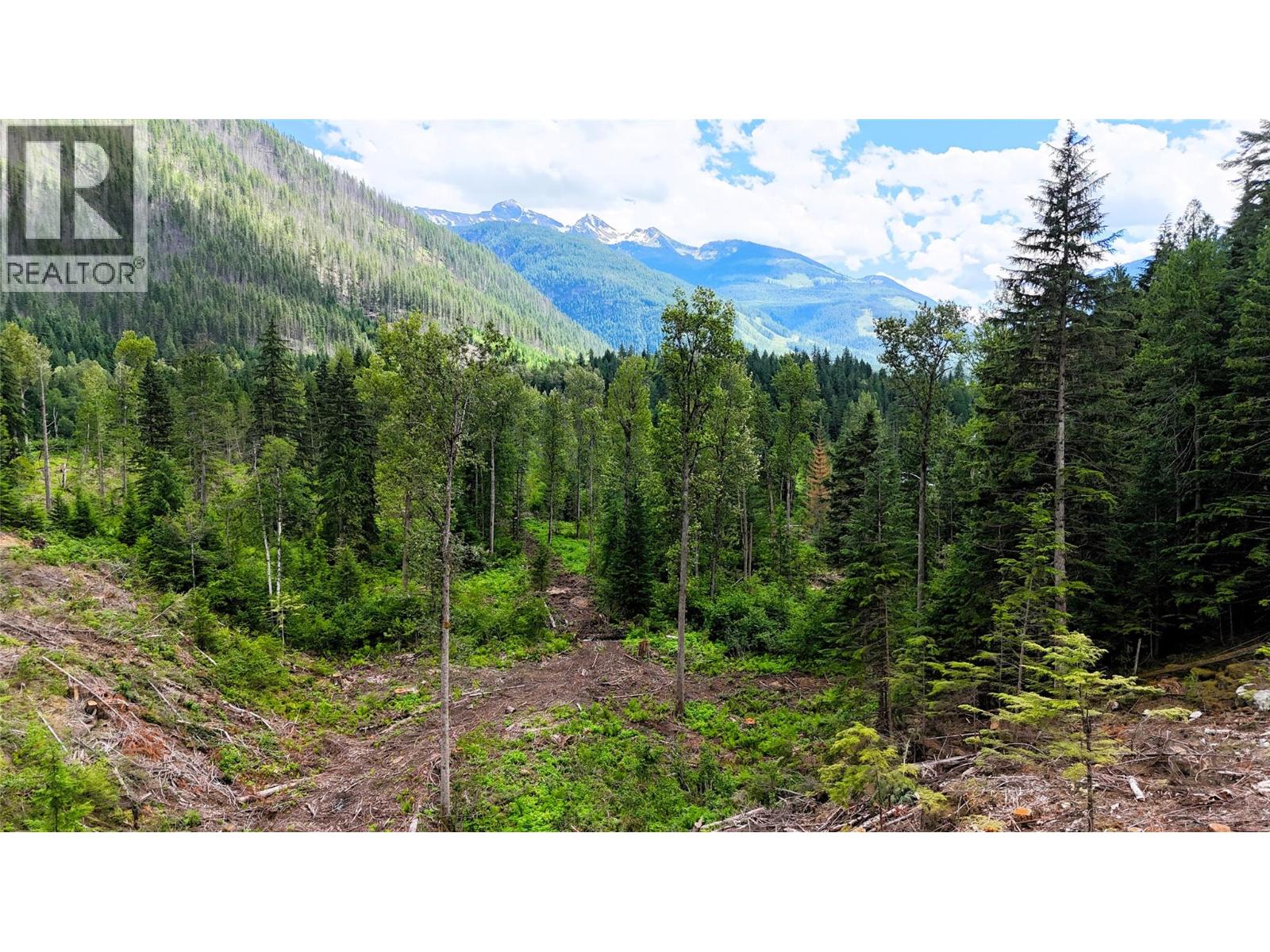 Trans Canada Highway Lot# 1-4, Revelstoke